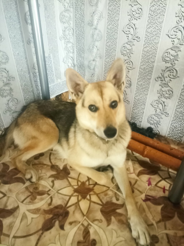 Вчера у подъезда обнаружила такую картину.
На ступеньк...