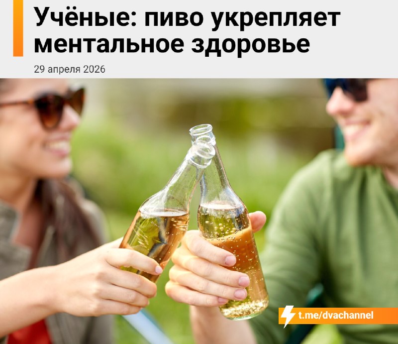 Учёные заявляют, что пивас реально укрепляет менталку
Они затестили кучу сортов — от лагера до креп