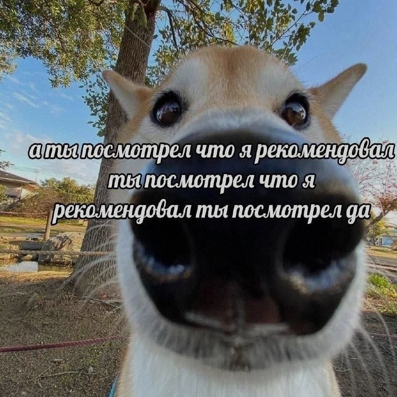 Ночная подборочка
Спать, режим