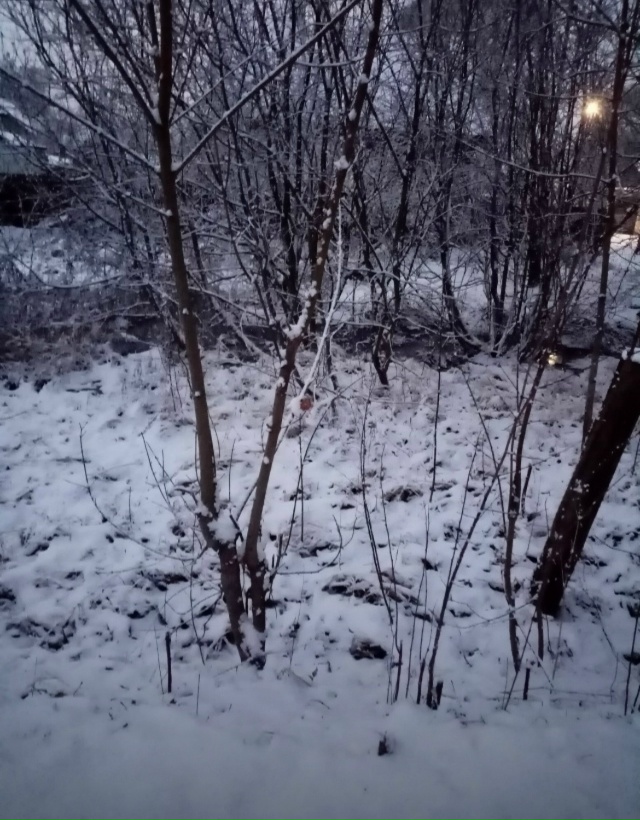 Сегодня на перекрестке ул. Володарского и ул. Энергети?...