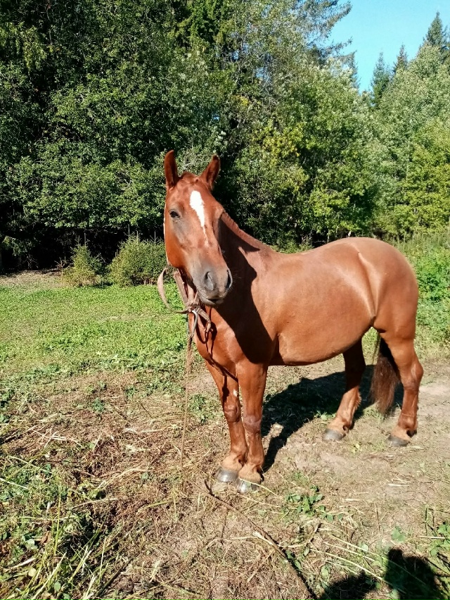 Животные
1. Срочно!! Нашли в ленте фото нашего кота, не ?...