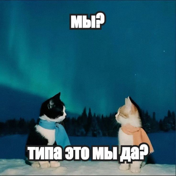 Утренняя подборочка