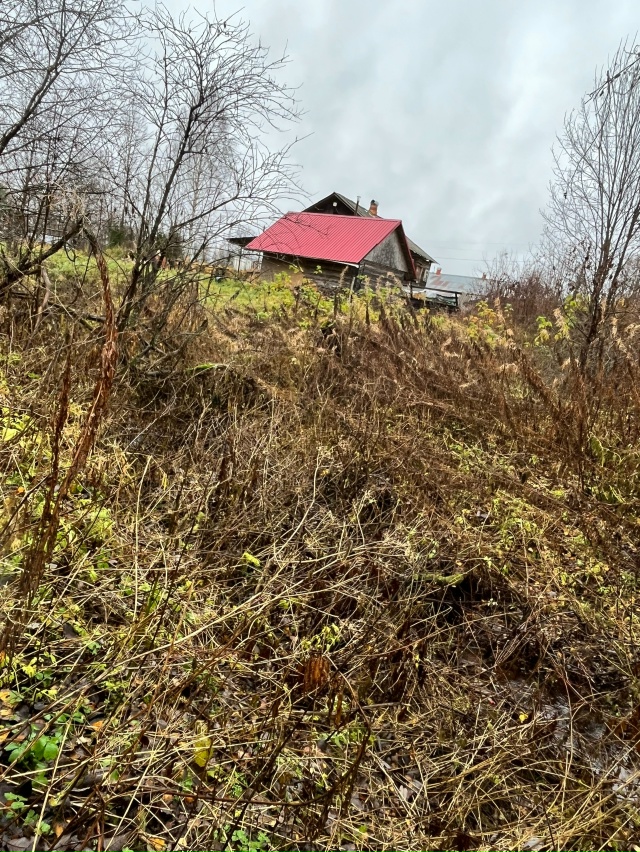 Добрый вечер! Обращение к администрации Кадуйского ра?...
