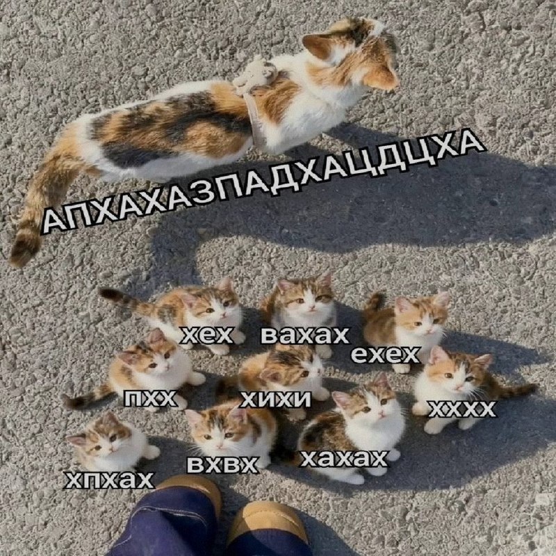Ночная подборочка
Спать, режим