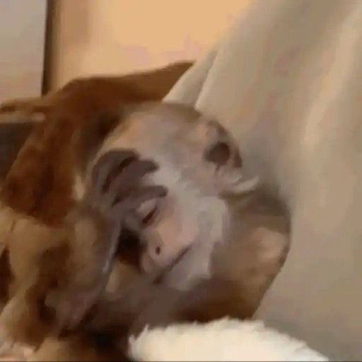 Данный поворот событий действительно интригует.