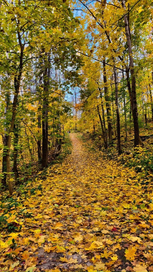 Чудесные осенние пейзажи нашей области