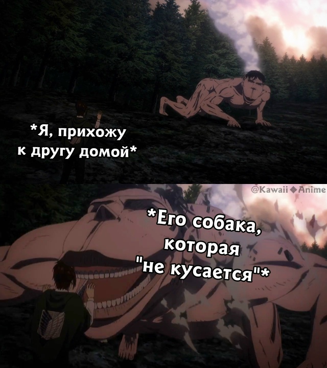 Как вам подборка?