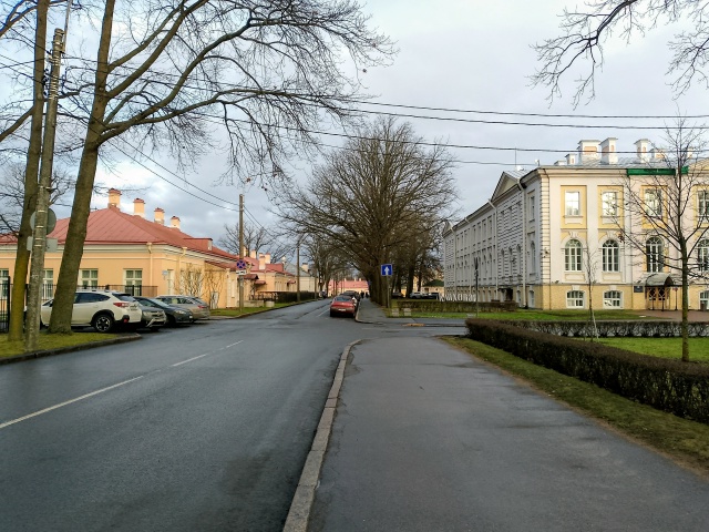 4 день зимы в Петергофе