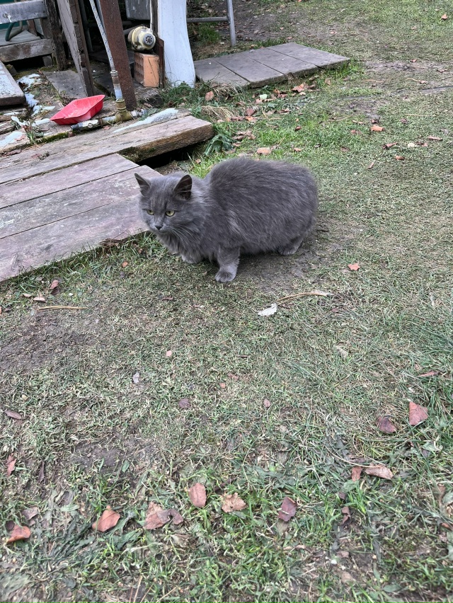 Чья красавица приходит столоваться на улице Советской...