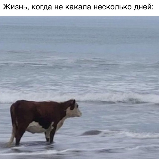 Черт возьми, как же это жизненно