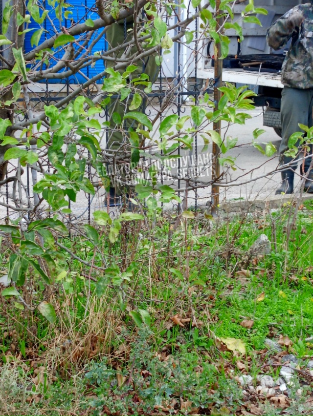 На каком основании опять огораживать территорию Пуд 12....