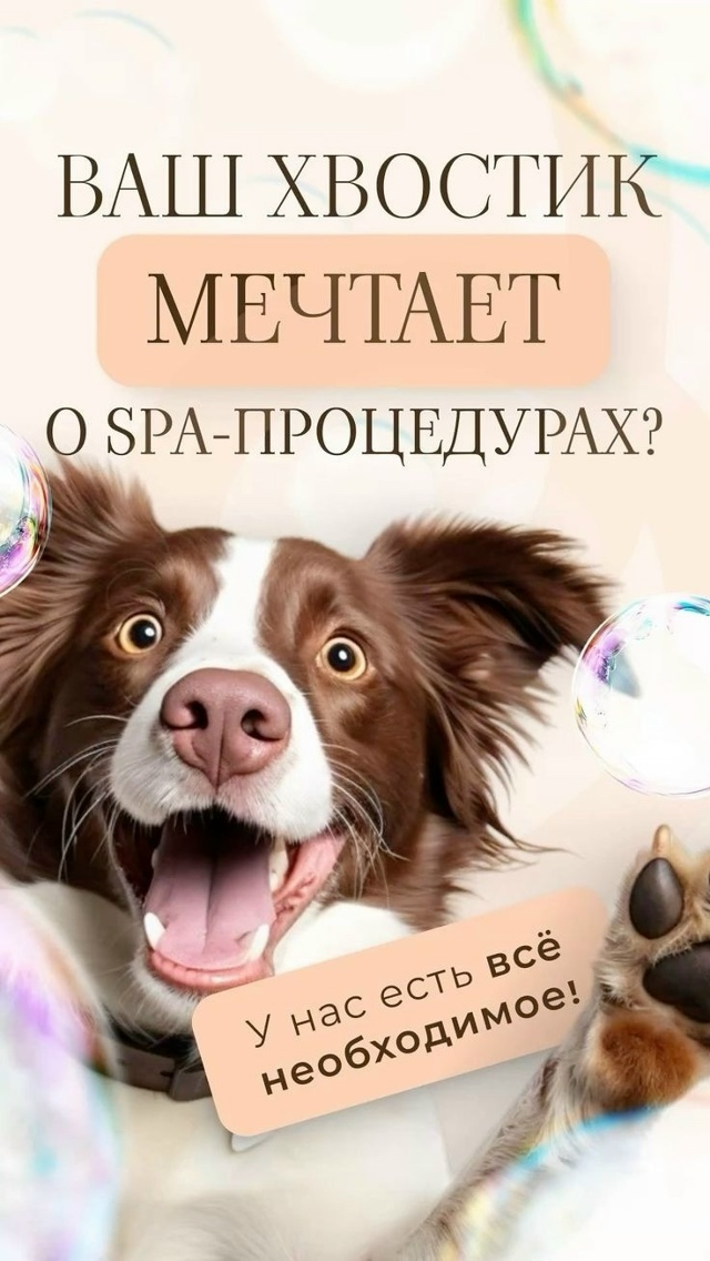 Друзья! В нашем салоне для домашних питомцев новая АКЦ?...