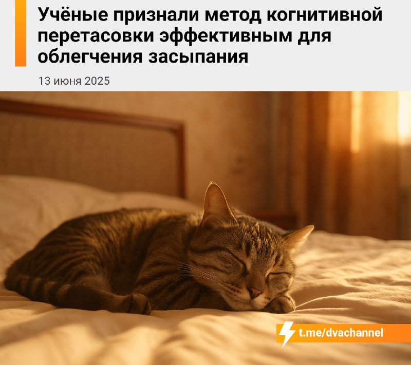 Засыпаем за минуту с имбовым лайфхаком: учёные рассказали, как легко и быстро избавиться от навязчив