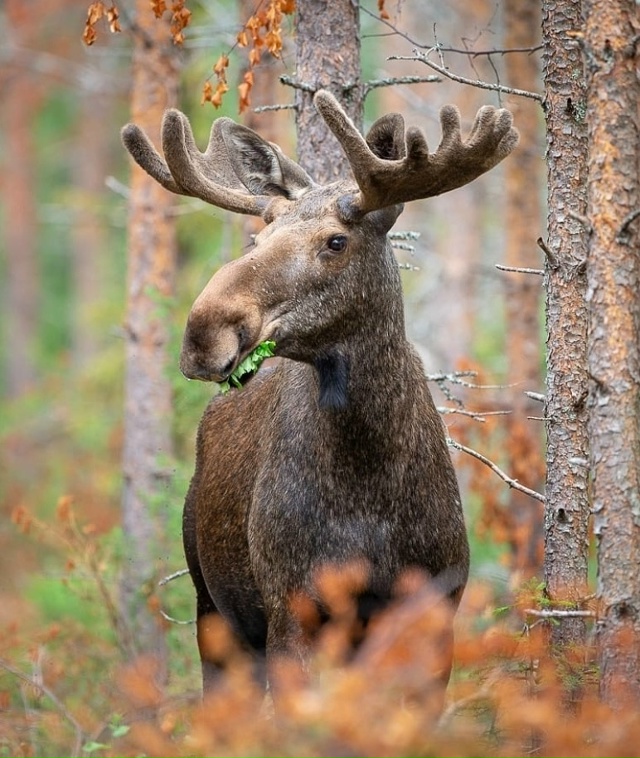 НАША ПЛАНЕТА ?...