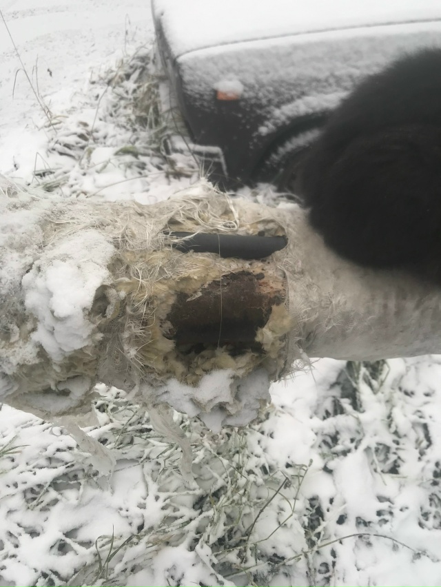 Вот так подготовилась к зиме Вельская тепловая компан?...