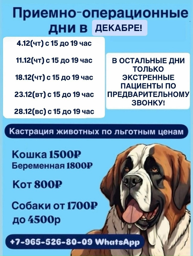 Ветеринарный кабинет г.Первоуральск проводит операци?...