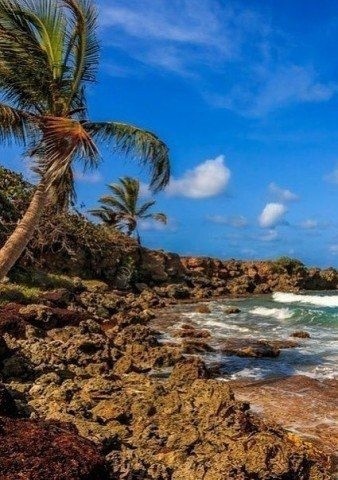 Карибские острова.