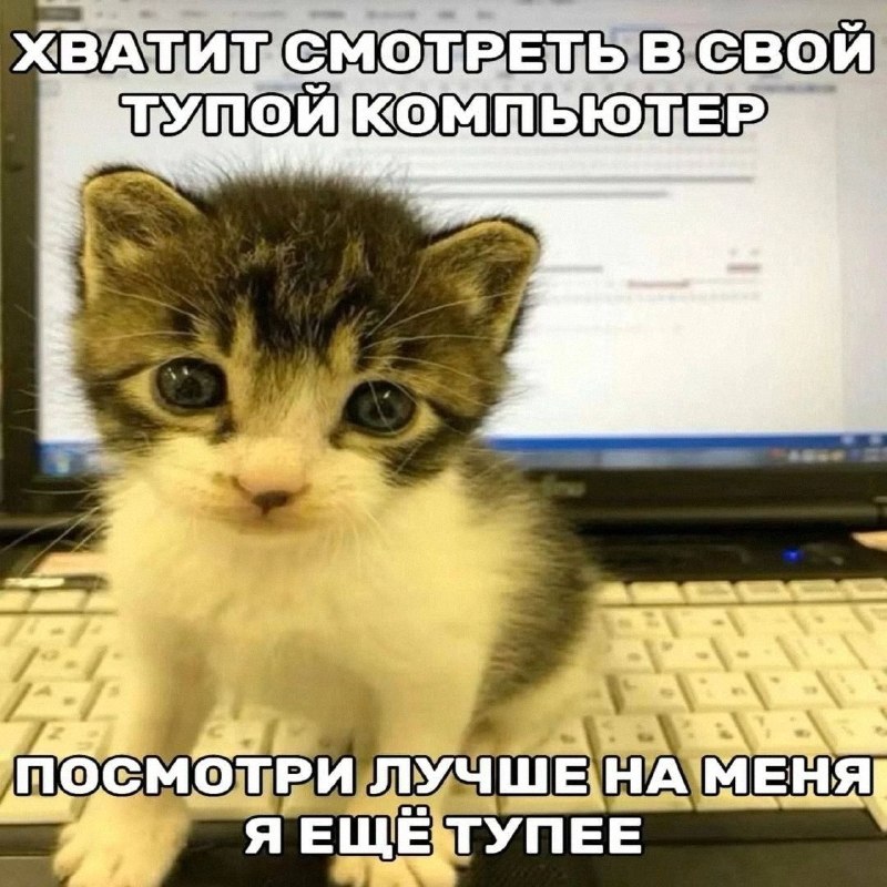 Утренняя подборочка