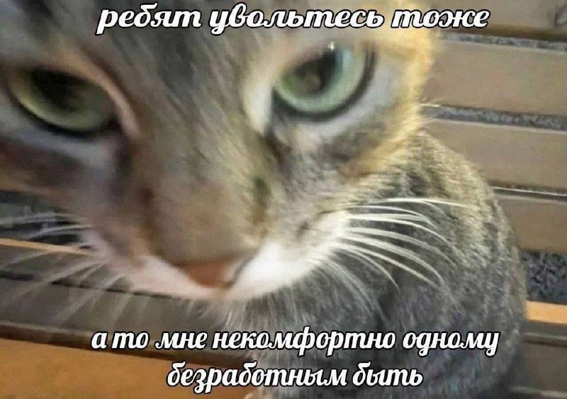 Утренняя подборочка