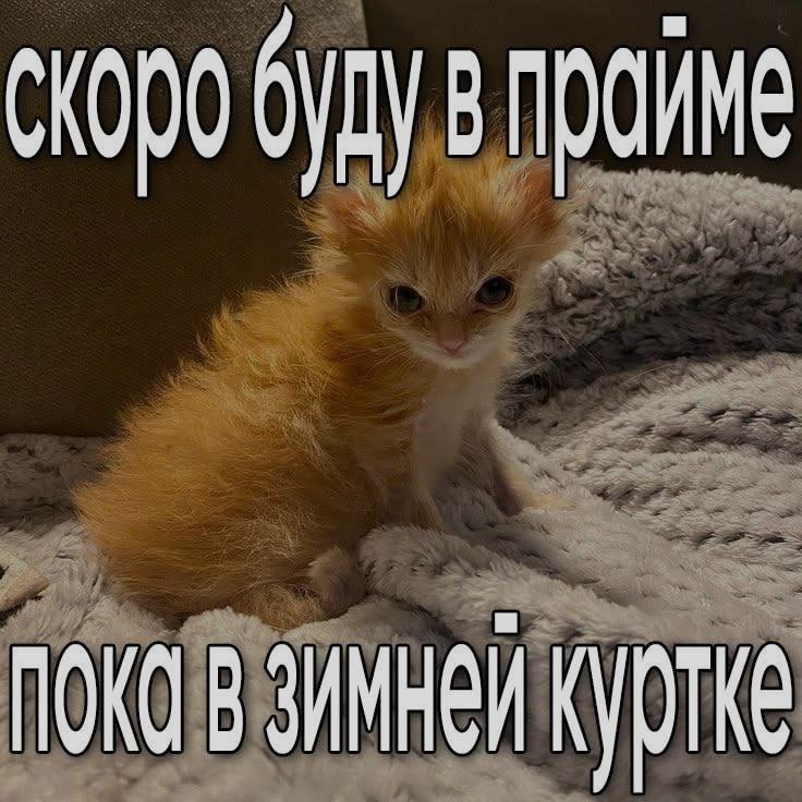 Ночная подборочка
Выходные, не спим