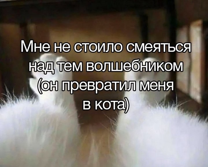 Утренняя подборочка