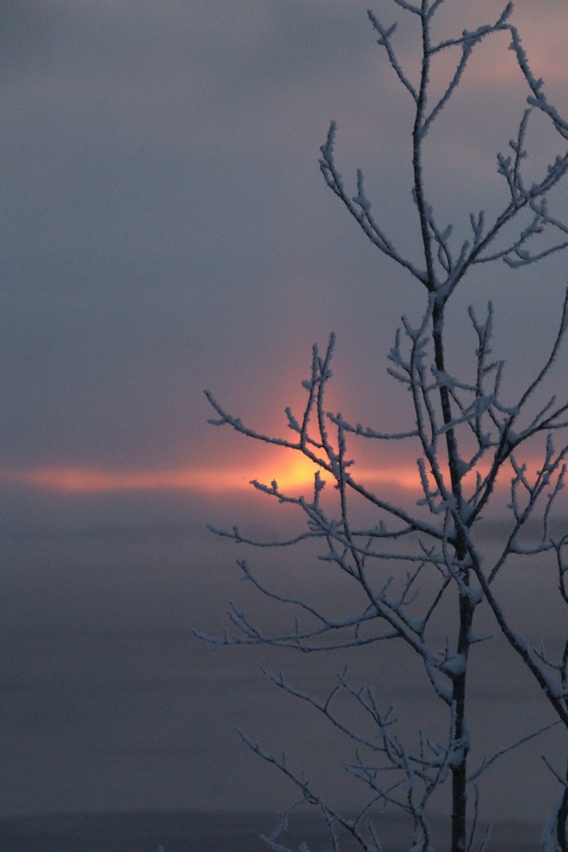 Когда фильтры не нужны🩷
[id1430345|Елена Серикова]