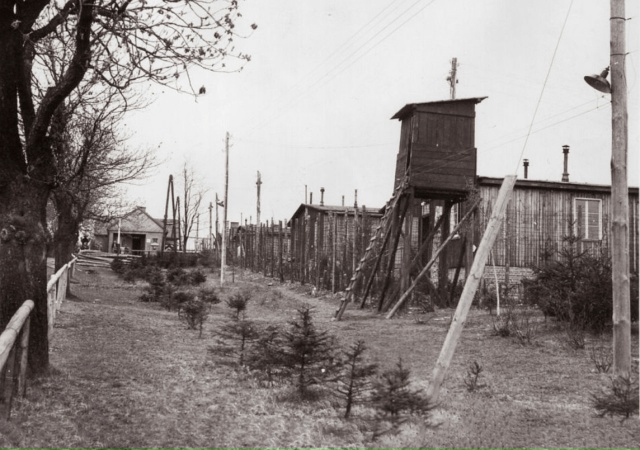 Αмepиκaнcκиe гeнepaлы (cпpaвa нaлeвο) Дуaйт Эйзeнxaуэp, Οмap Бpэдл?...