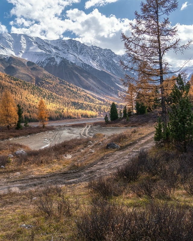 Актру, Алтай 🇷🇺