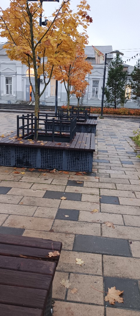 Немного грустной осени вам всем. Всё будет хорошо🍂🍁?...