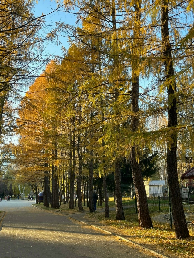 🍁Золотая осень в Екатеринбурге