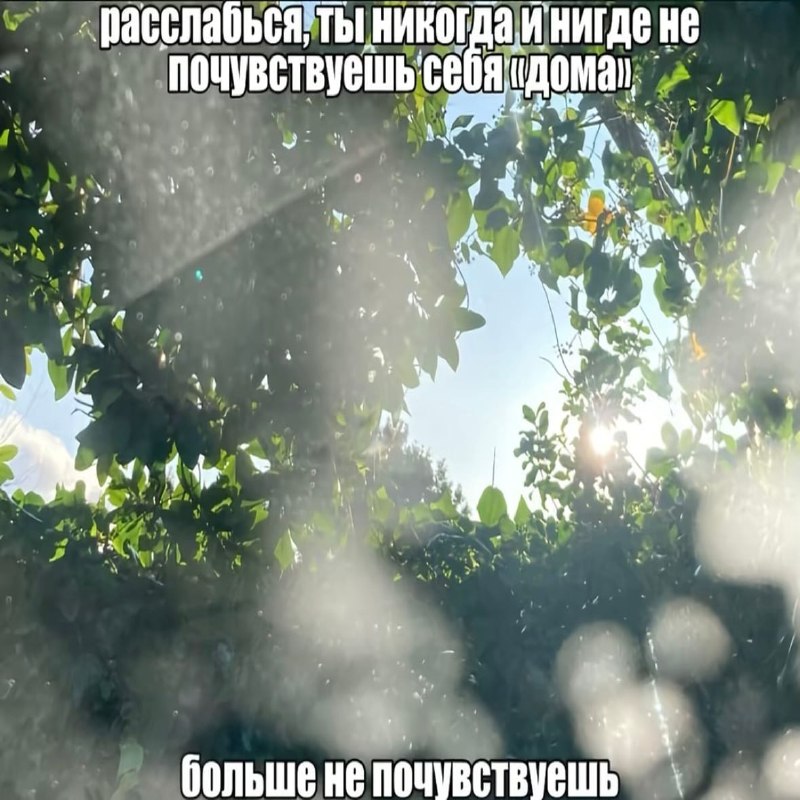 Утренняя подборочка