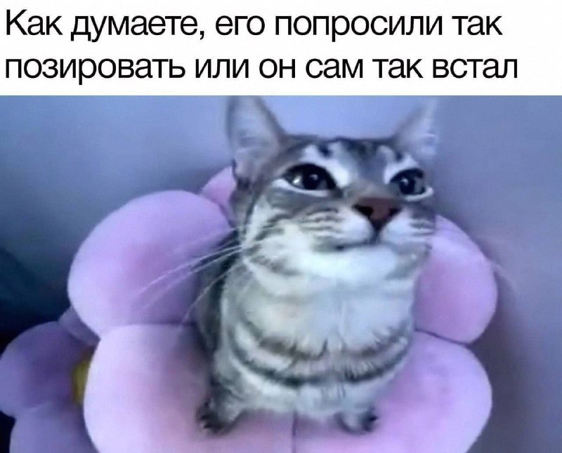 Утренняя подборочка