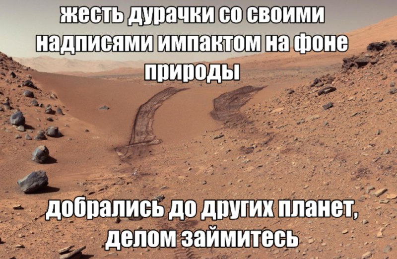 Утренняя подборочка