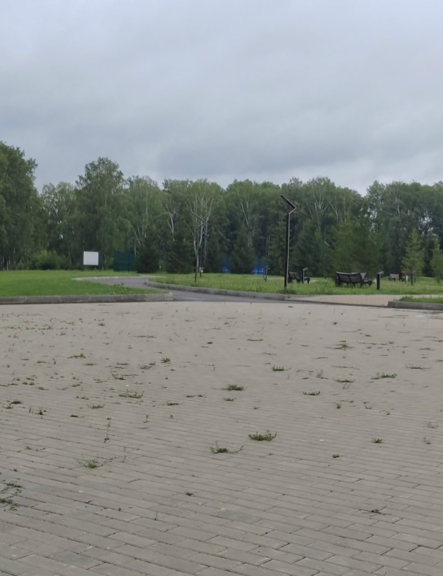 Как то уныло становится в парке Победы. Зарастают трав?...