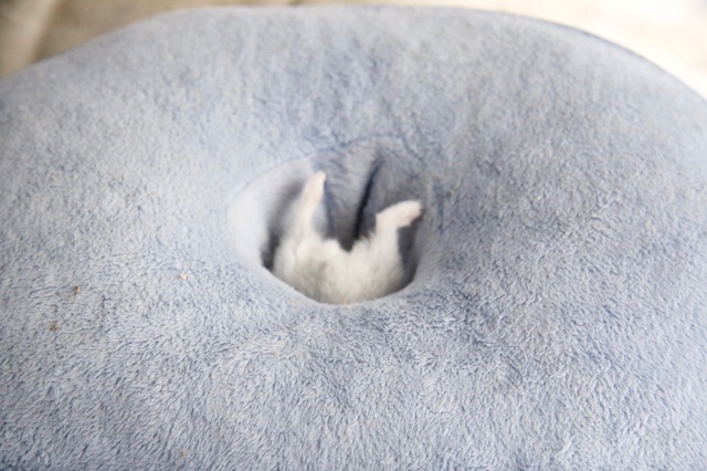 Трагическая история в трёх актах.