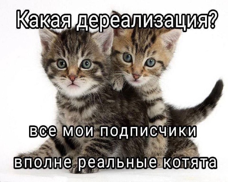 Утренняя подборочка