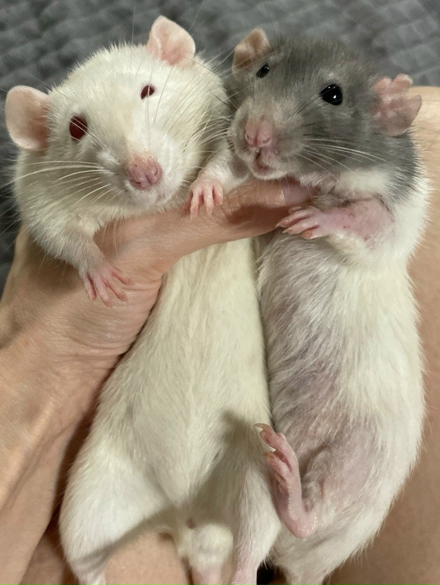 😭Крик о помощи...
Дорогие друзья, меня зовут Маша и я в?...