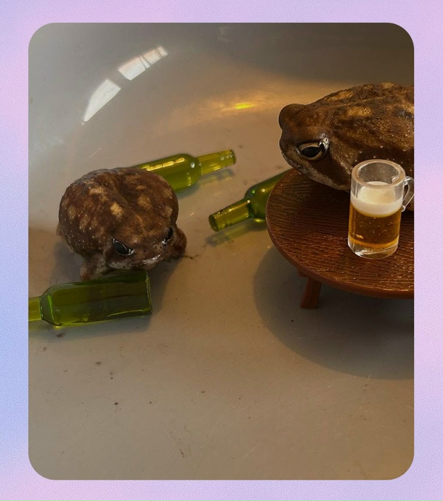 Среда, мои чюваки!