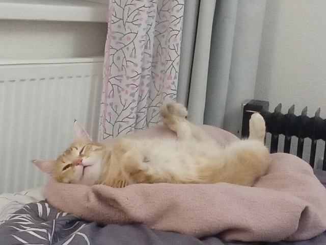 А я сладкий мамин Пусик😉🌝😅