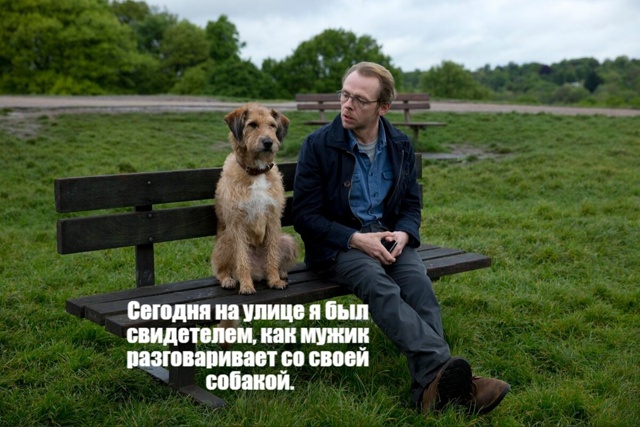 Кошки правят!