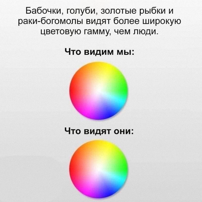Утренняя подборочка