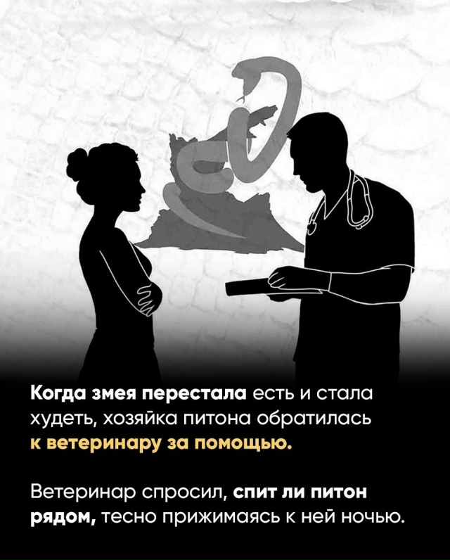 Удивительная история...