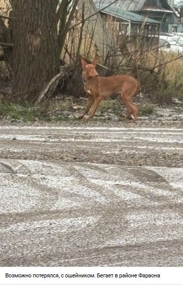 Пост добра. Распространите, пожалуйста.