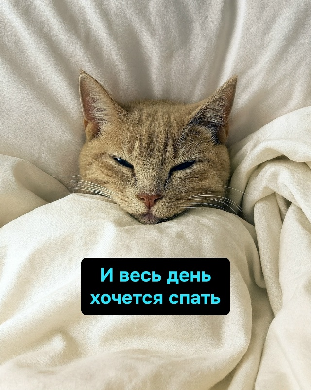 Осень — это когда у тебя нет депрессии, но она всё равн?...