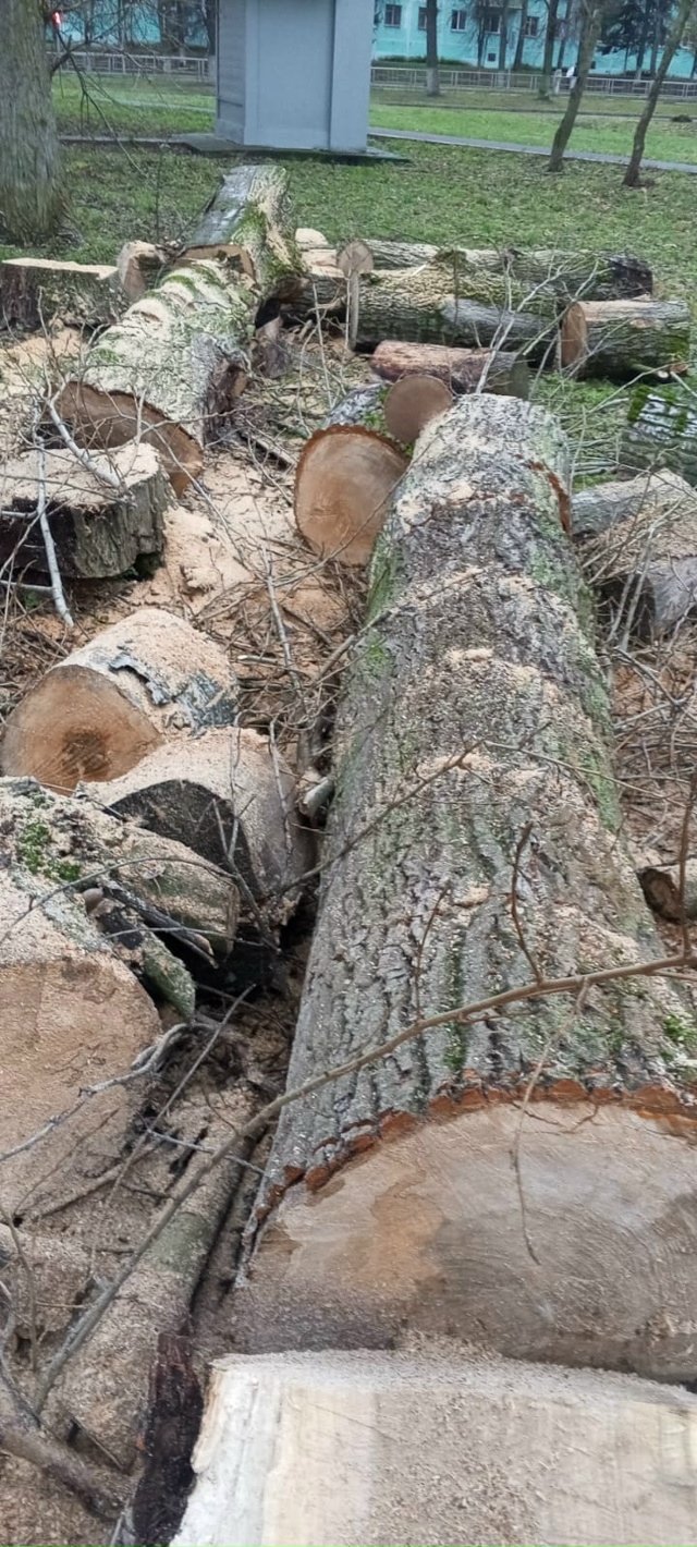Ну кто же выпиливает по городу никому не мешающие двух?...