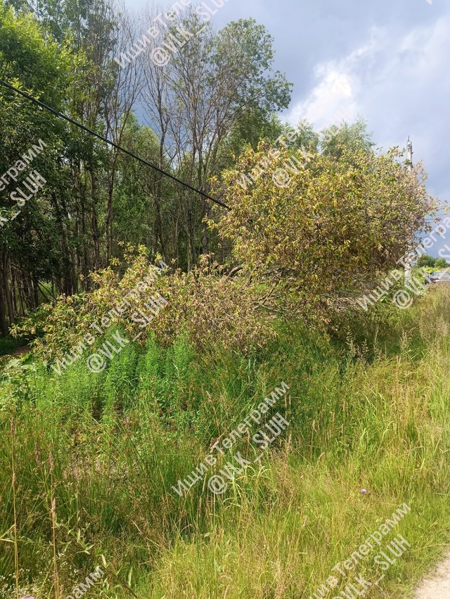 Уважаемая администрация Волоколамска! Примите меры, в ...