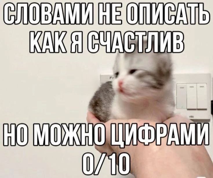 Утренняя подборочка