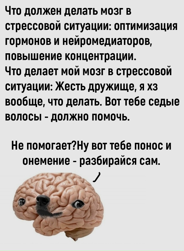 Пересылайте посты близким, ставьте реакции - это лучша?...