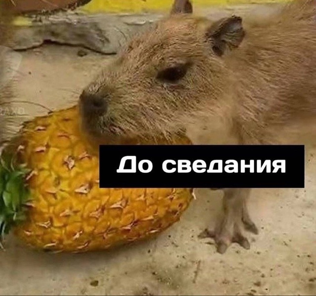 Настроение на работе в понедельник