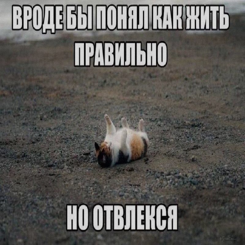Ночная подборочка
Выходные, не спим